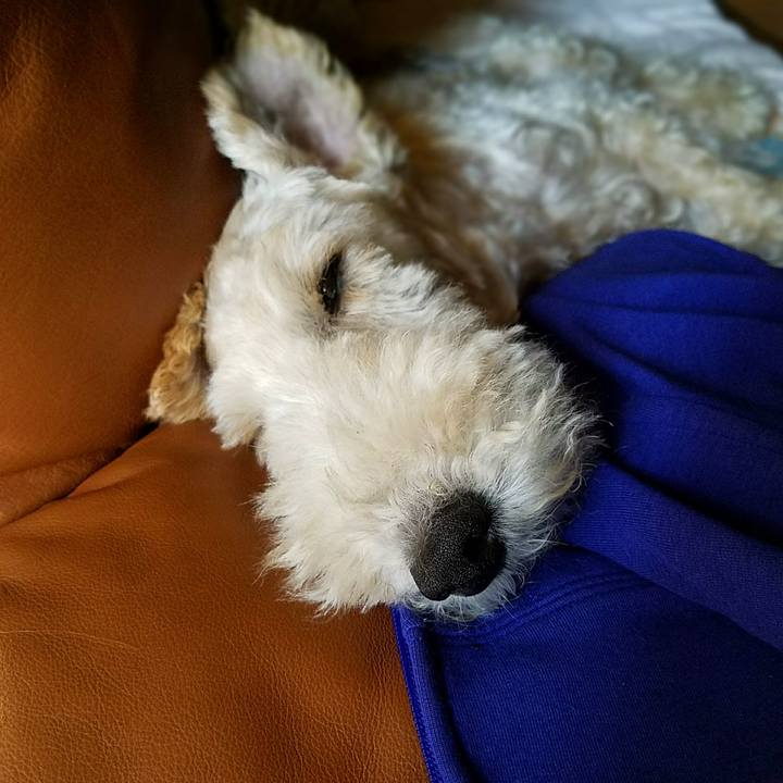 4d5c8417 9eca 4f99 ba03 8fc578d1590e