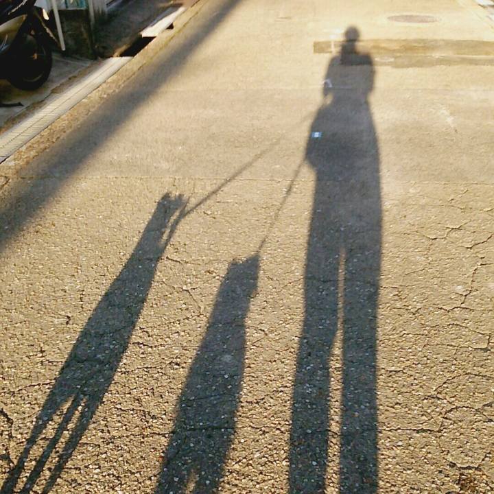 4d5cb3eb 1266 493f a37b 69b7f995f40b