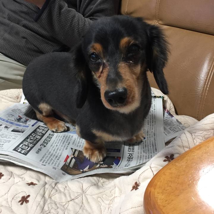 4d5d2947 fe04 4a45 84f1 c03957b6f67b