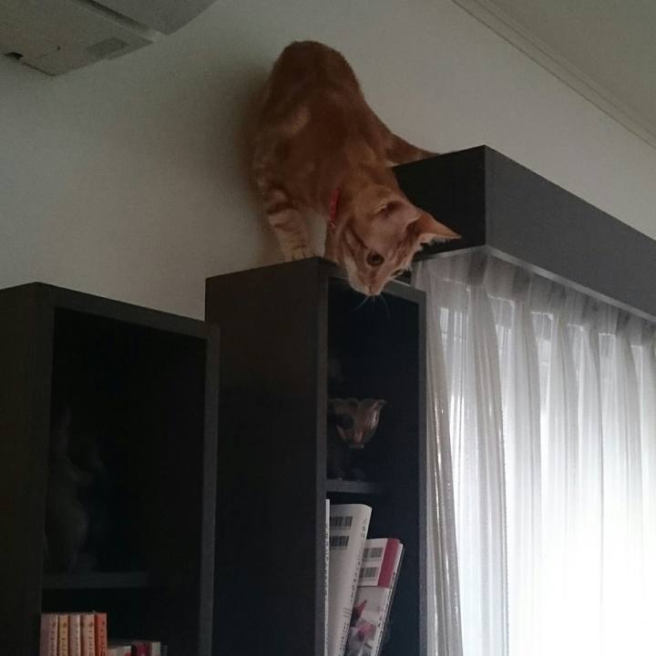 4d5d9519 642d 4e75 8f04 881d9504f89e