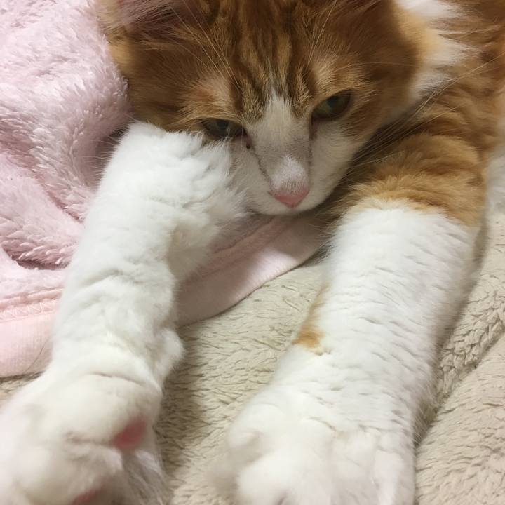 4d5dd2de fdef 4e6f 8827 e96ecbf76ed6