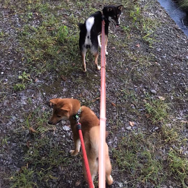 4d5e314d 62a8 41bd beea 8980cbd1cd5b