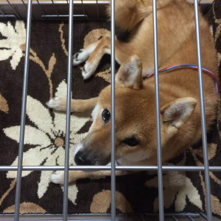 4d5e3935 9f64 418c 8c38 ac3e2c7dba9b