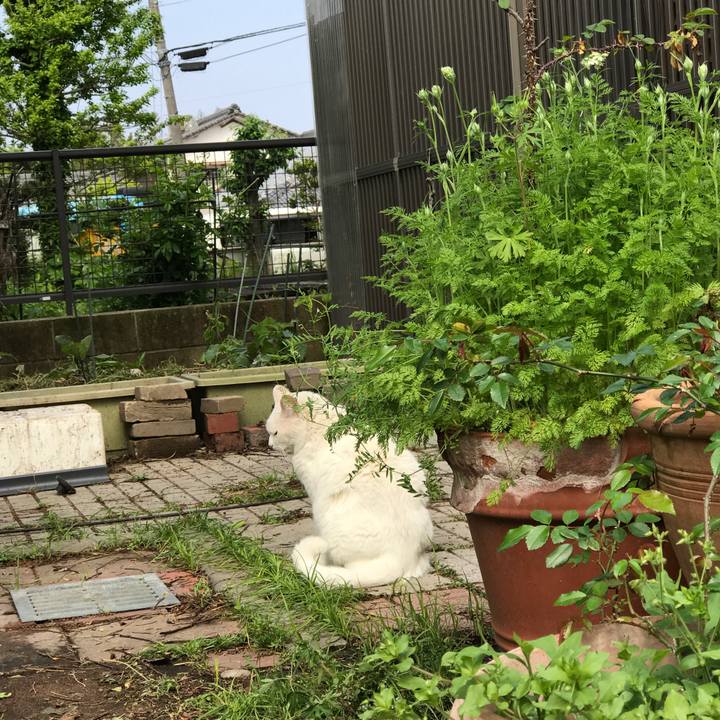 4d5ef242 94c0 4a38 9bfe cad3766d48d7