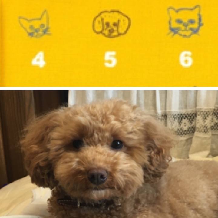 4d5f511d 45ef 48eb 8b76 20fcebdb8b48