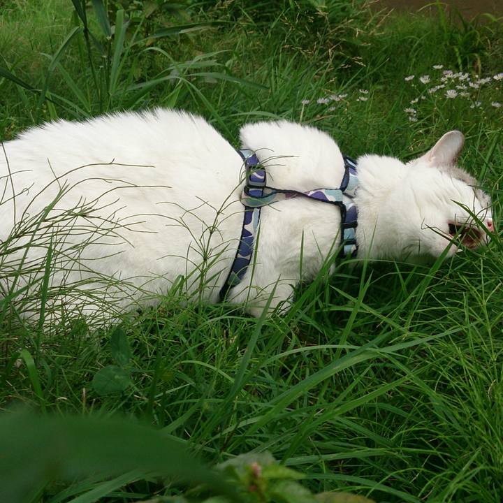 4d5fe123 f624 4773 8afb ebac924028ac