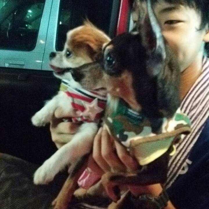 4d605afa 0ac7 4bbb 9ded 88237aad99d9