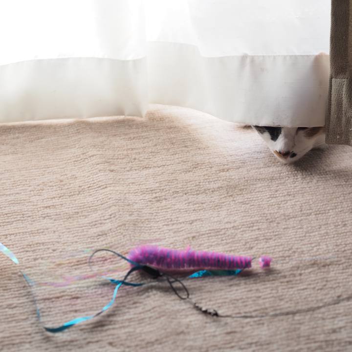 4d60f730 4464 4958 85ca 19bccb20227b