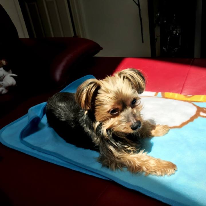 4d60f961 d7e6 4fb2 aa27 d52f09643433