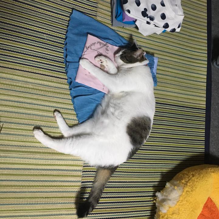 4d60fd3b 8061 4e26 8525 19fafcf11ae2