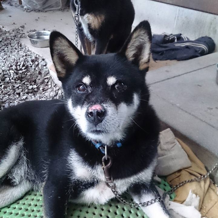 4d60fe29 1bdd 49a8 8a55 da7de4fd16df