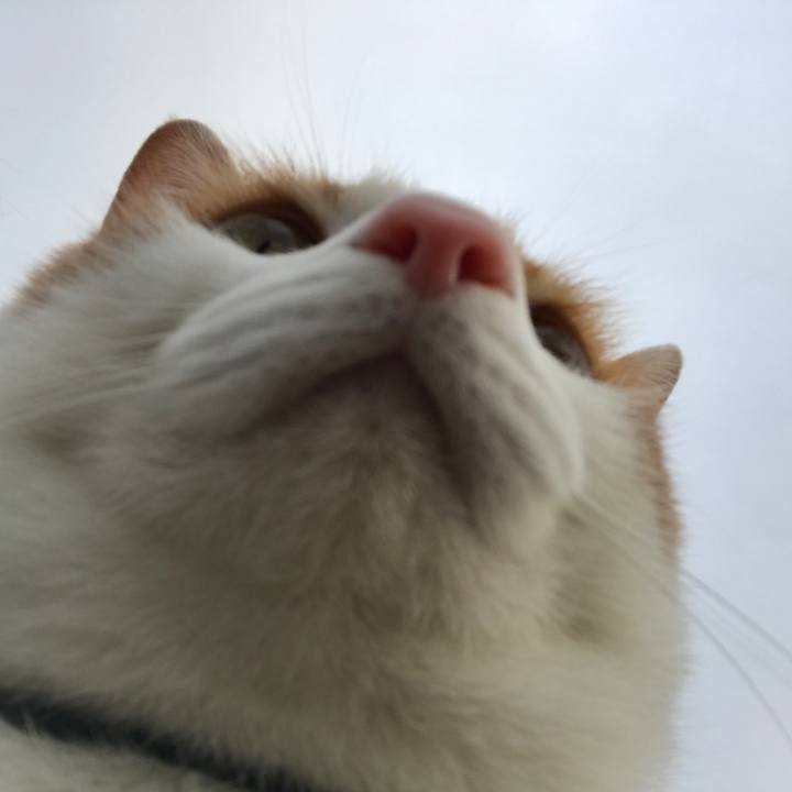 4d617ae1 6ac6 4566 8923 02a4ce78d54c