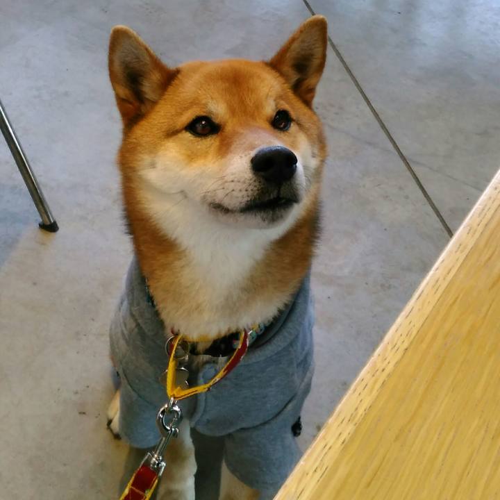 4d6214a7 fd11 4c29 9c9b 6c7b7a269a64