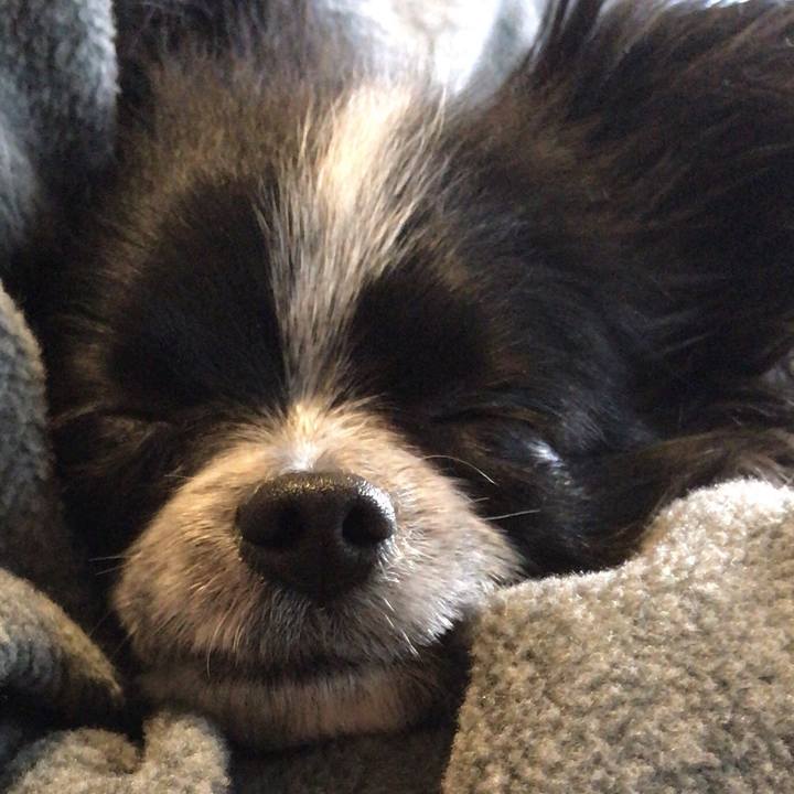 4d6419c9 c68d 4948 8abf 260d138c5277