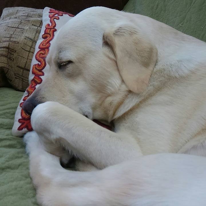 4d64202d 9934 49b3 b3af c3bcafb57778