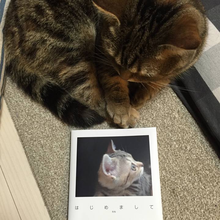 4d645eee a109 4a7e 8a0d 1eb54d20afa1