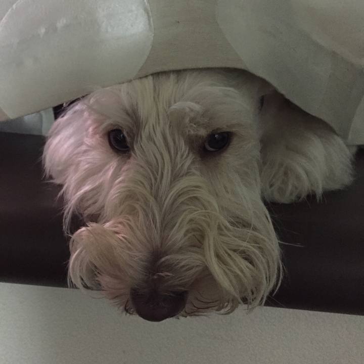 4d64dc4a dfc9 49e6 8460 143d7e01803f