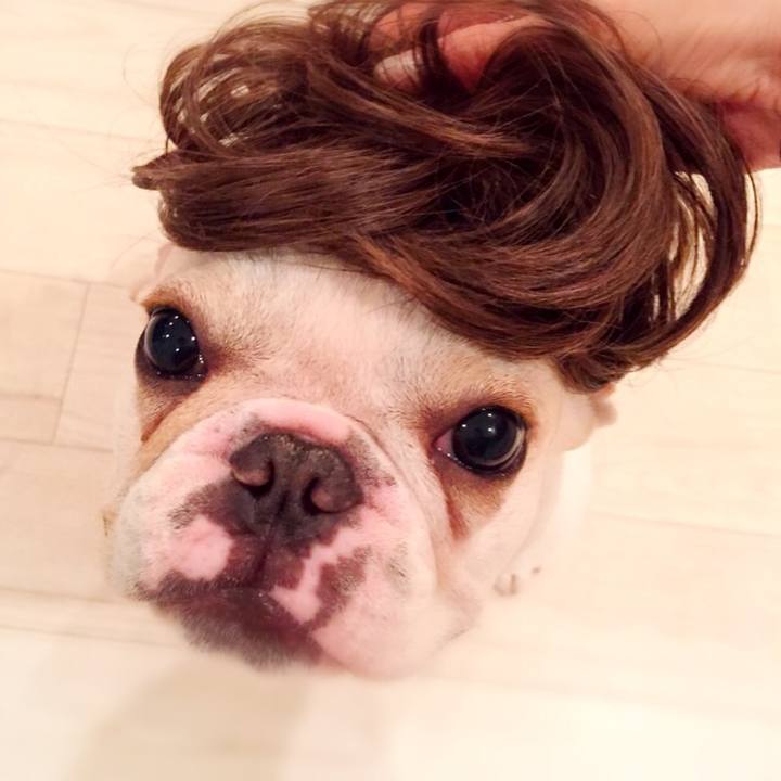 4d657670 9403 4526 b4f1 1b204dfc7478