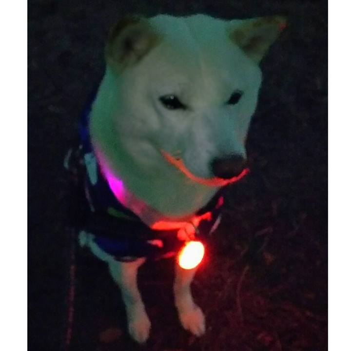 4d65a1d6 fd4f 44d6 bc59 60a0441e7be9