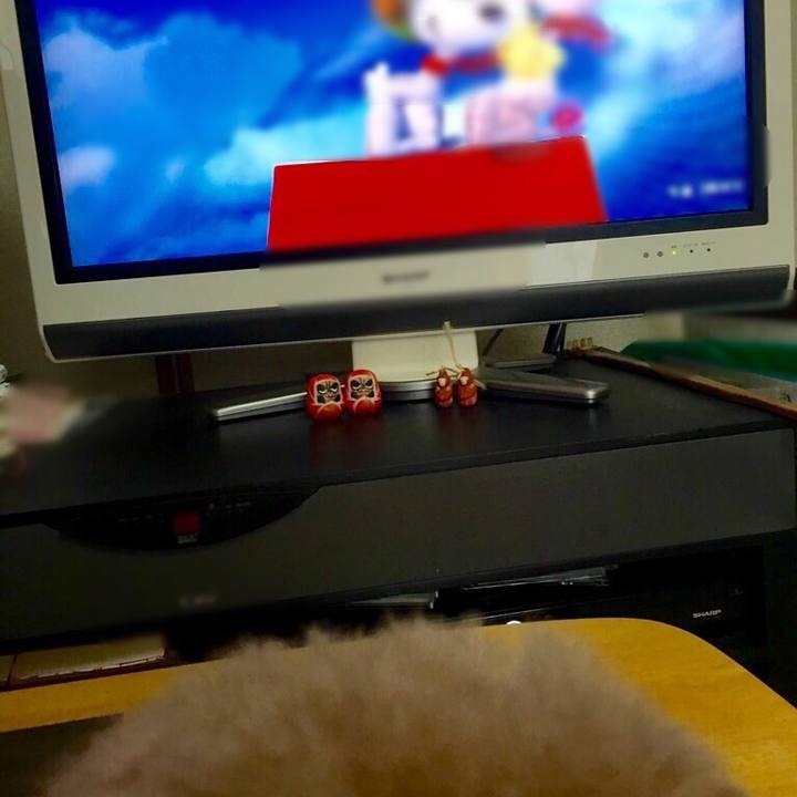 4d66df87 d632 4f42 bfa4 0bc2e0a0da1f