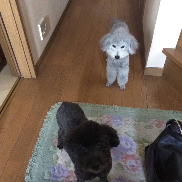 4d67ebc0 9f46 4a46 8b00 a38287341e64