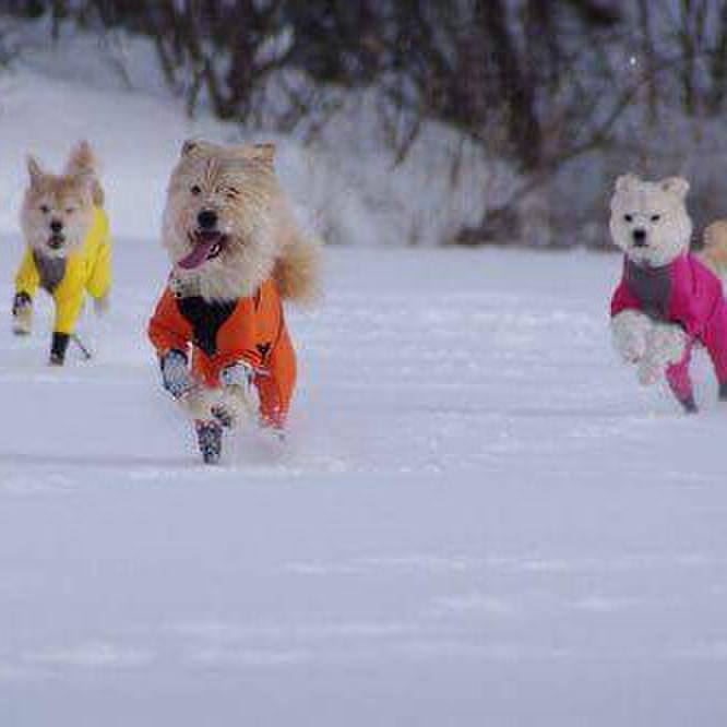 4d67ed6c 5e9e 4fbf bb02 f4c004bb5b18