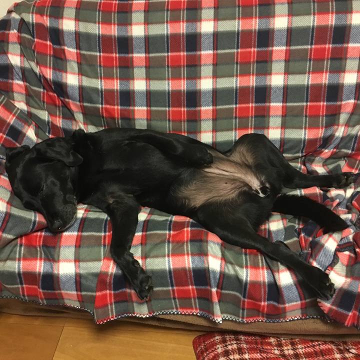 4d681d23 489a 475e a8c5 648895daf0ed