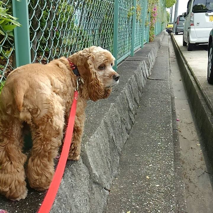 4d69366c 50b7 48f7 b45d fc77f11a9094