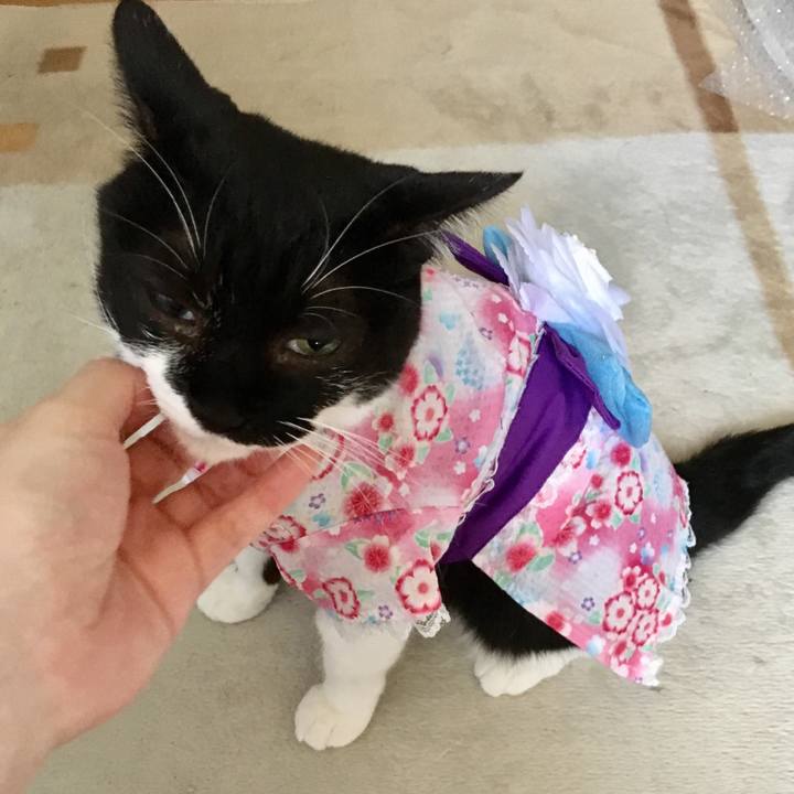 4d697c17 5d8b 40df b1da 49d61be39a28