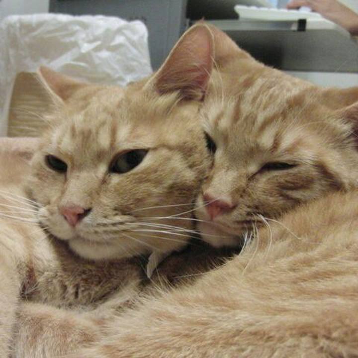 4d699152 61cf 4f3c 9449 c4976c49a4a0