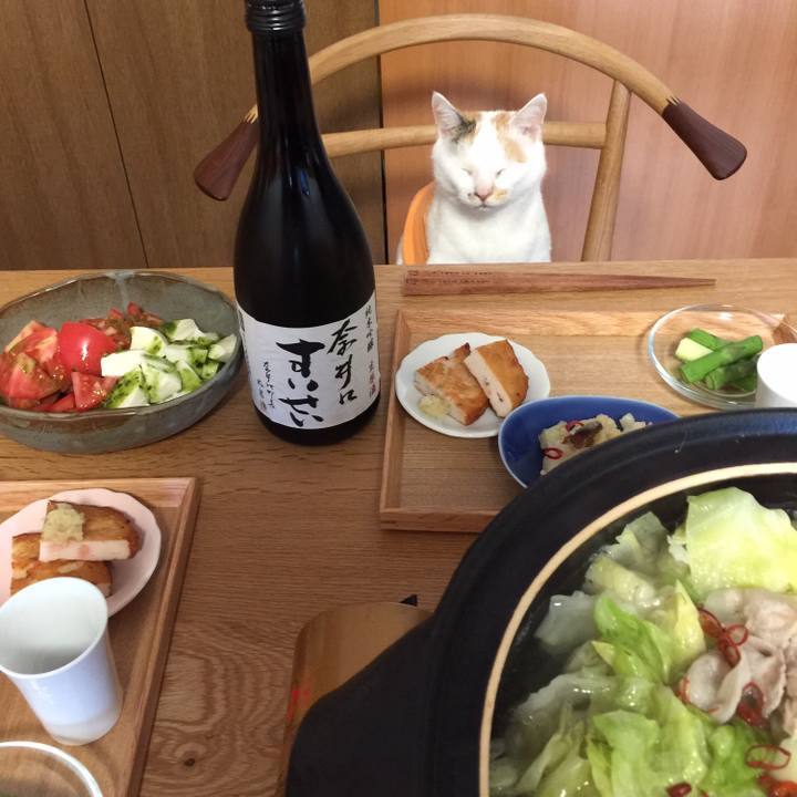 4d6a0e52 ab96 4855 abb3 111fa7658d51