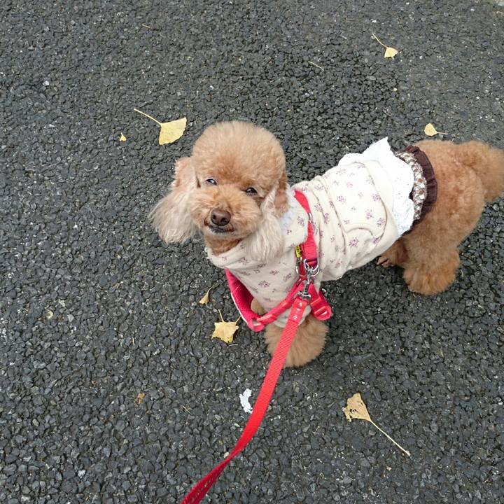 4d6a3d90 3976 4957 be53 98fa30688ffc