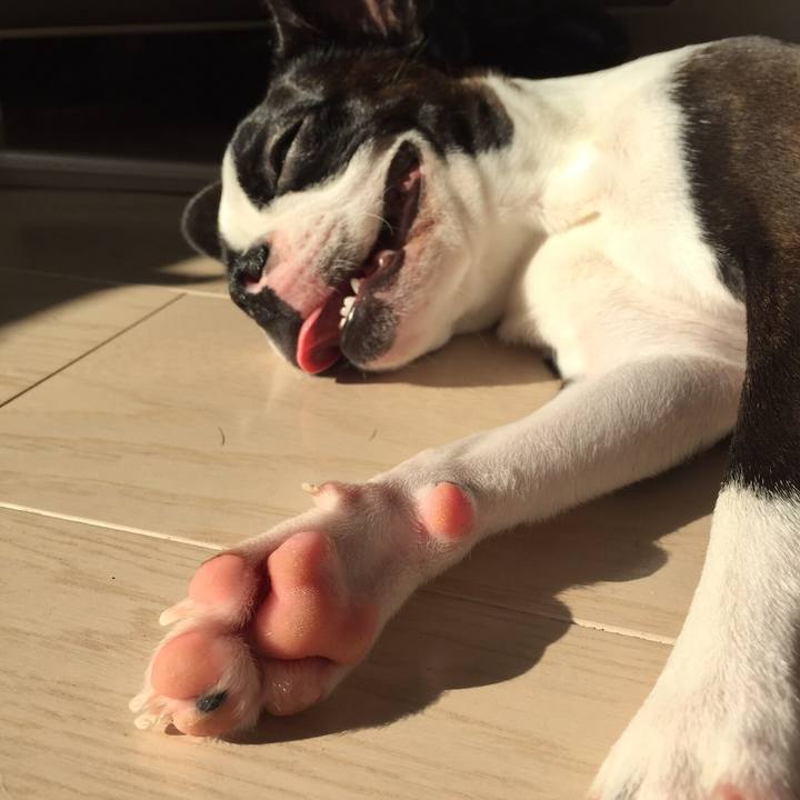 4d6a6b3e 25c8 46f7 ac95 2cb8852f4af7