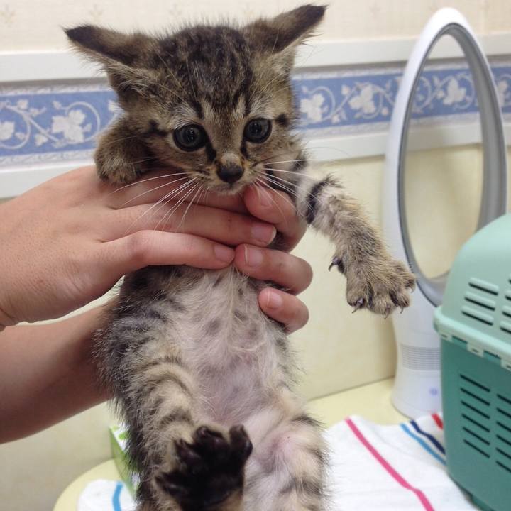 4d6a7c6b a2b8 4e5c 9324 3a120fdfa326