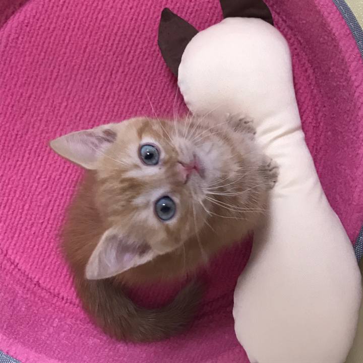 4d6a8a37 e712 40fe 8fff ae88577aacde