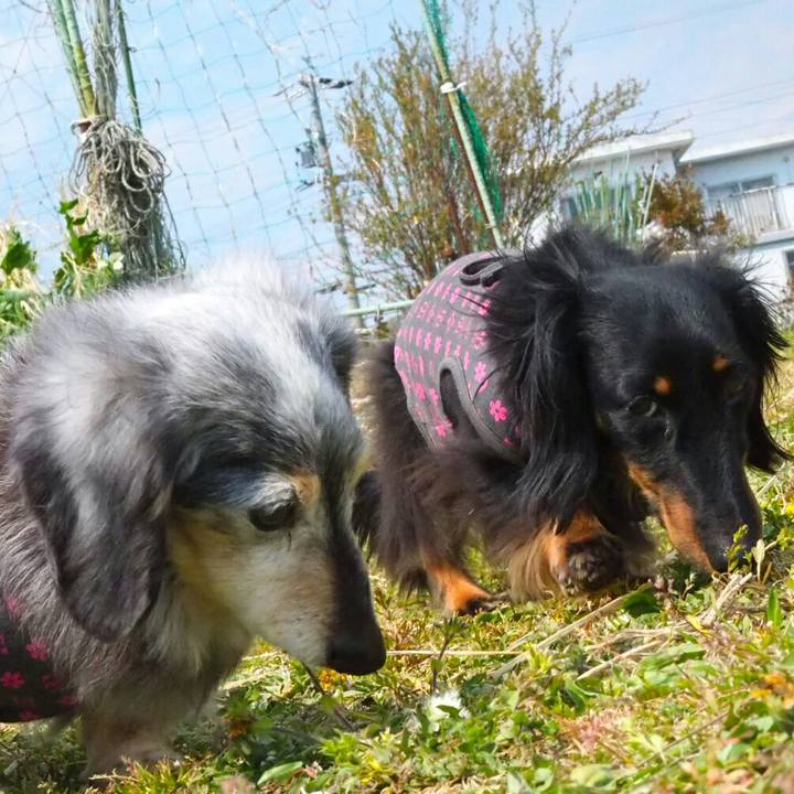 4d6ac1ef 1b44 4142 b2f0 e879761bd224