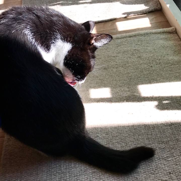 4d6ad320 c0ce 4422 a878 37ba9aa9d23d