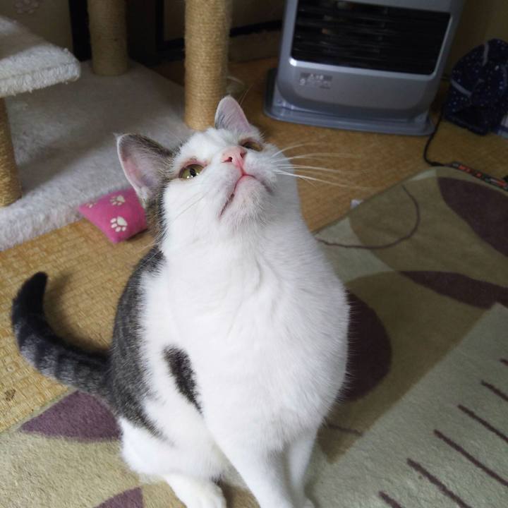 4d6b3f65 bf27 4888 96fe f5f9bde06186