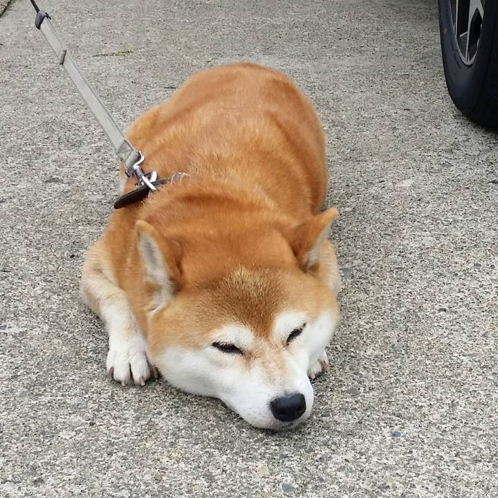 4d6b6a62 662e 46b6 ae9b dce0ea83973b