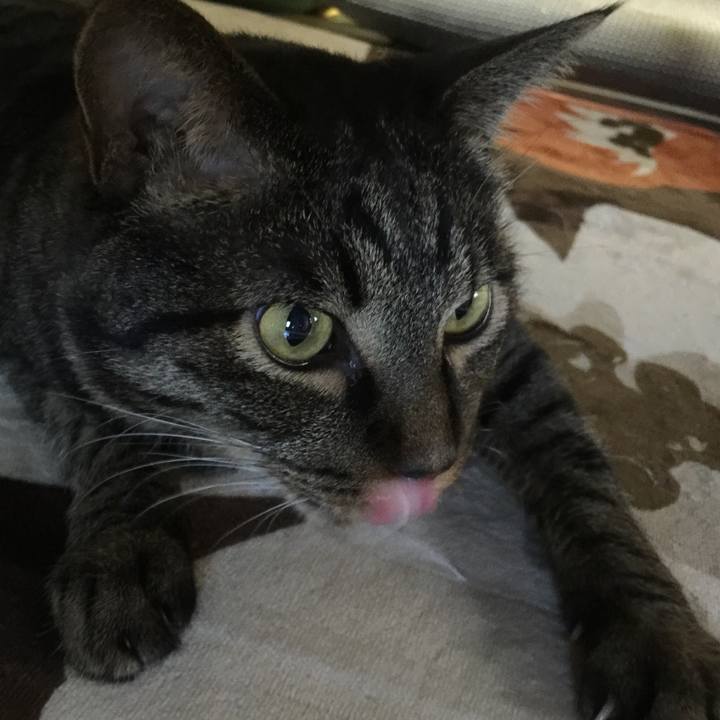 4d6b9858 9e8f 4823 ab70 ed51956b6e8a