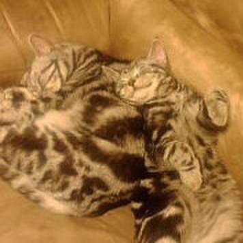 4d6bd749 c6e1 4aed 96ac 08e7e0b6c460