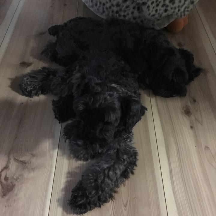 4d6bd883 6cd9 494e b8a4 4e44beab6a6a