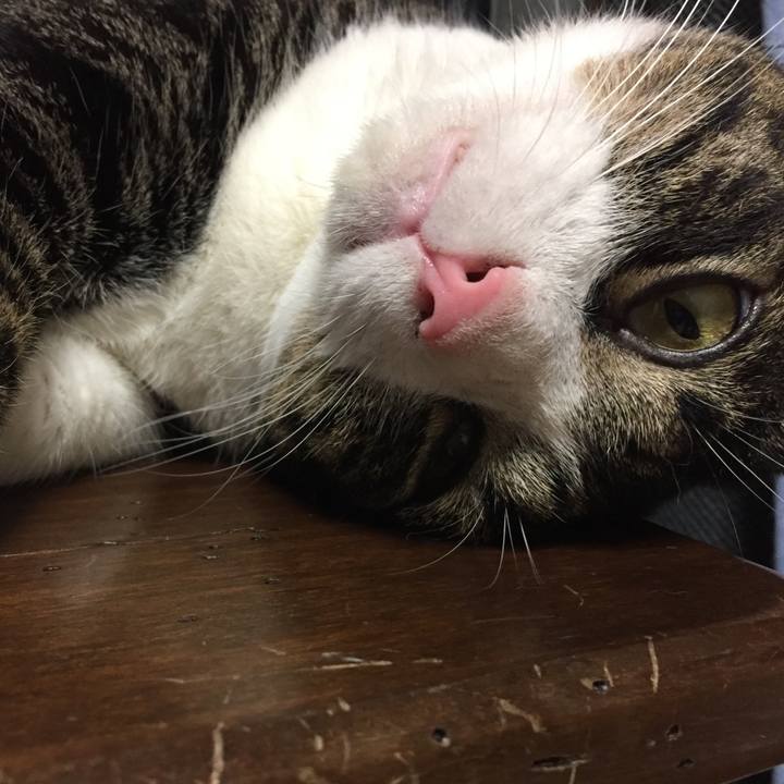 4d6c0ff3 d5b1 4775 aed7 1a6d8e6da198