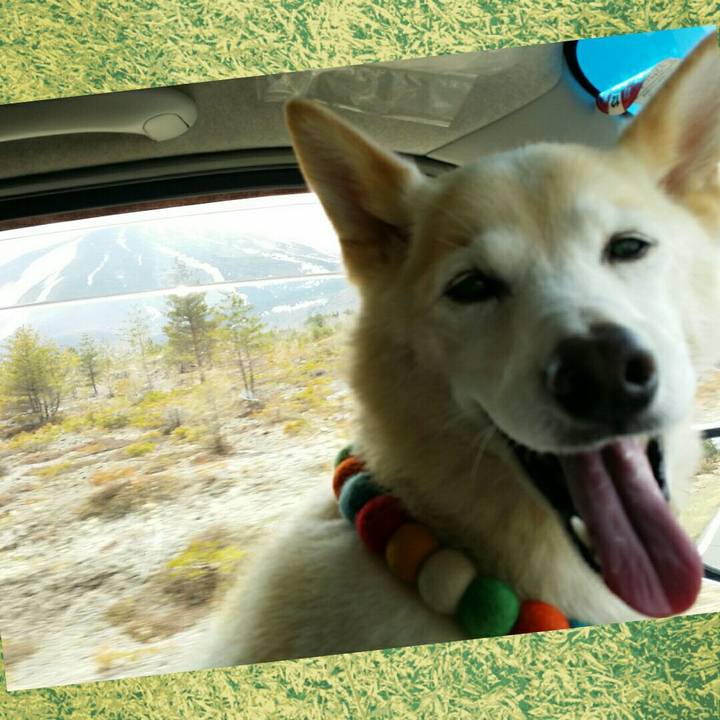 4d6d2879 73f9 4936 9f20 6e95f36bf0a7