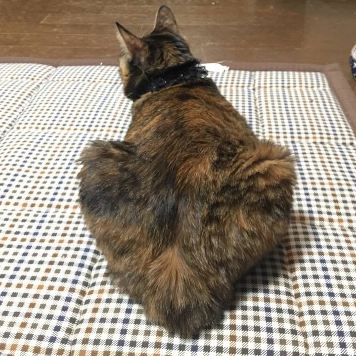 4d6d8b01 948e 4b8c 9619 b4ff6807c78d