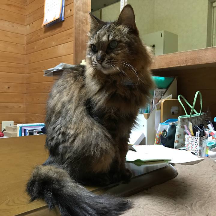 4d6debd4 2b36 485a 9dca 18502d7a6cfb