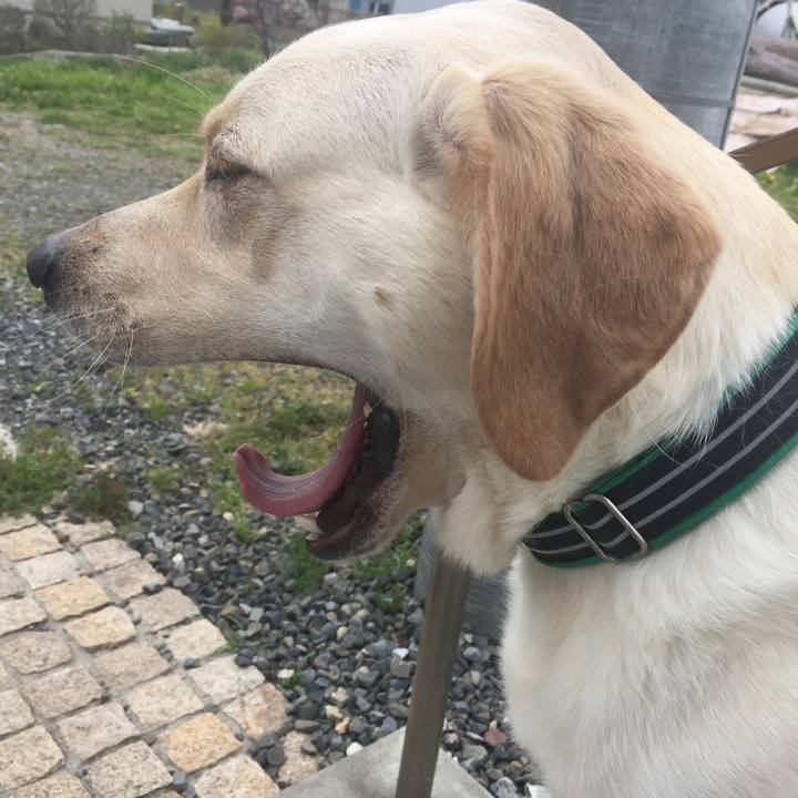 4d6df994 3cb5 41dd ab5f 5b62307a2ece