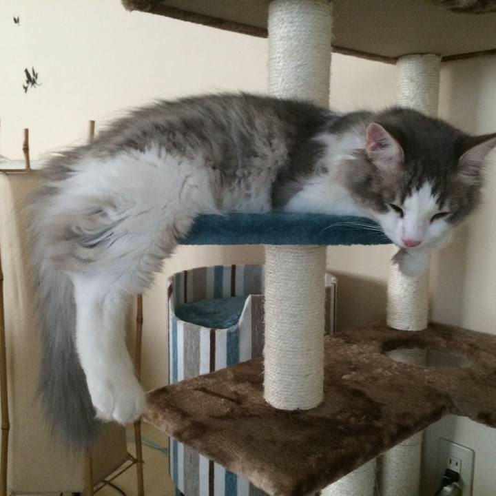 4d6e19e9 48da 4bd0 95b2 daaf95a7c3db