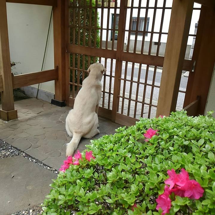 4d6e2501 2291 4466 a528 a7893ea6c887