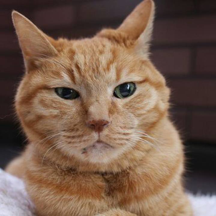 4d6e2df1 a987 408d 9b7a 8672a3fa6d05